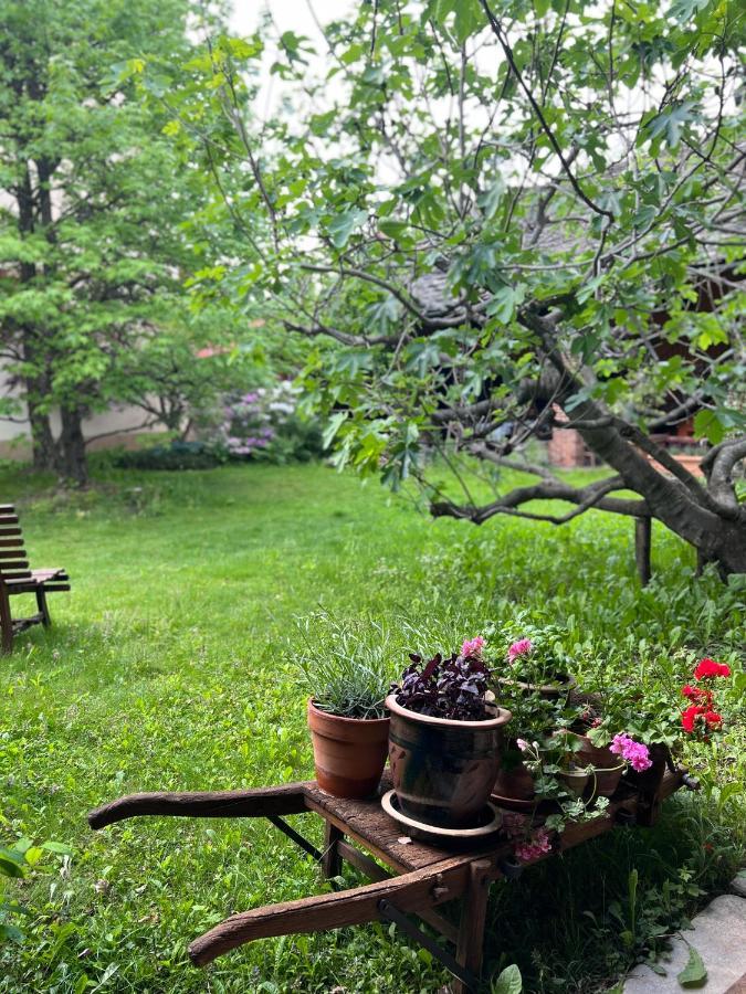 Hotel La Casa Arancione Boves Zewnętrze zdjęcie